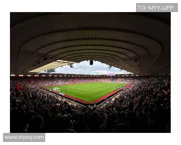 足球东东带你领略世界足球的魅力与激情探索球场背后的故事与传奇